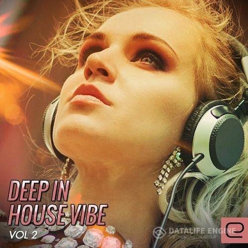 Deep In House Vibe Vol 2 (2015)