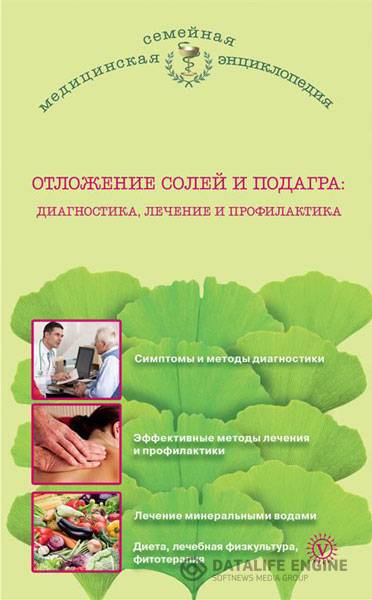 И. С. Малышева  - Отложение солей и подагра. Лечение и профилактика   (2014) fb2