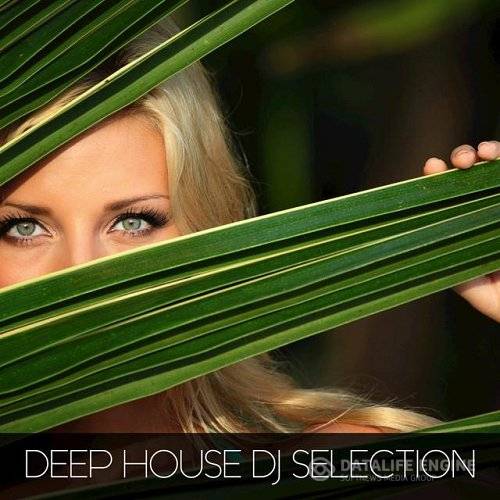 Deep House DJ Selection (2015)