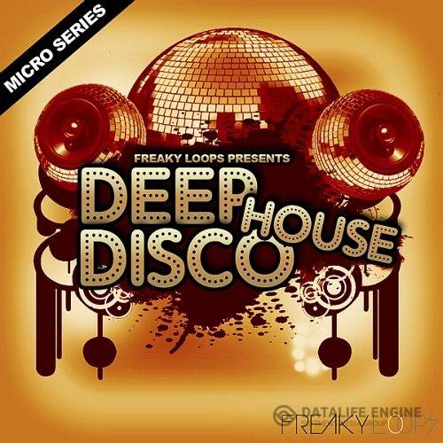 Disco Delivers House Freaky Loops (2015)