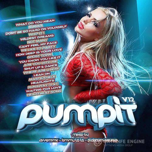 Pump It Vol 12 (Mixed by DJ Femme, Timmy Lala & Platinum Deejayz)