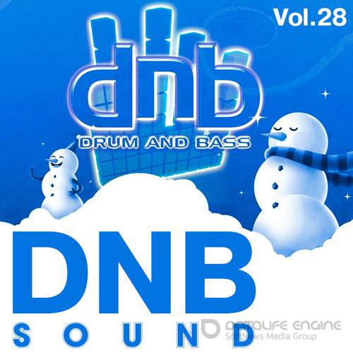Drum & Bass Sound Vol.28 (2017)