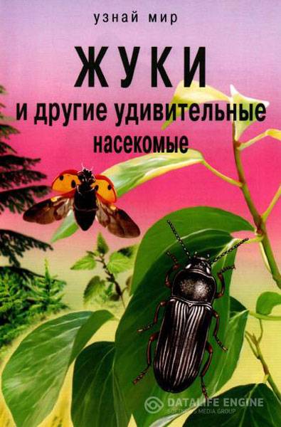 Афонькин С. Ю. - Жуки и другие удивительные насекомые   (2010) pdf