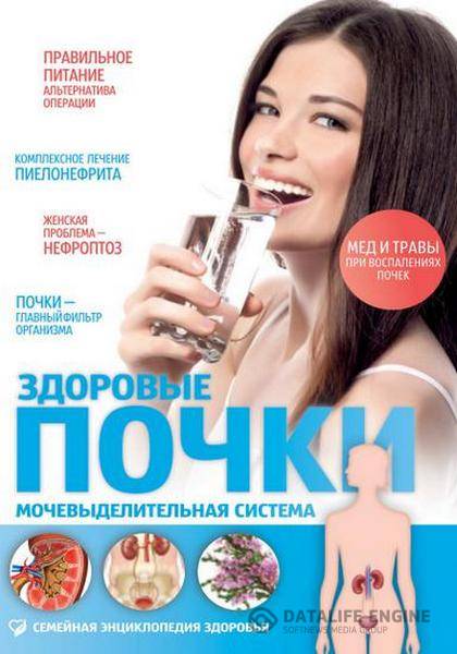 О. М. Соловьёва - Здоровые почки: мочевыделительная система  (2013) pdf