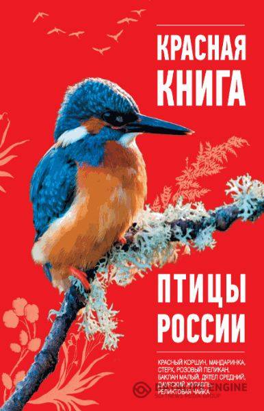 Скалдина О.В.  - Красная книга. Птицы России  (2013) pdf