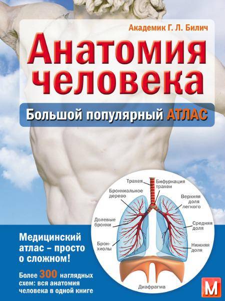 Г. Л. Билич - Анатомия человека. Большой популярный атлас (2015) pdf