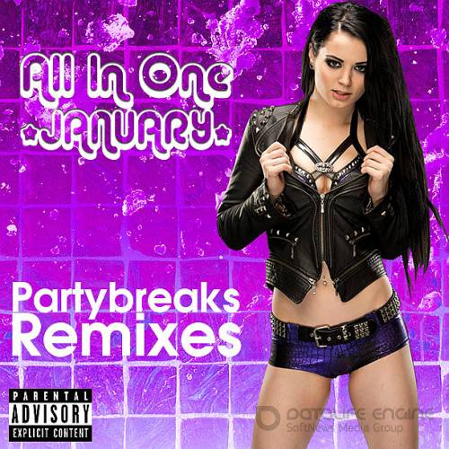 Partybreaks and Remixes - All In One January 001 (2017)