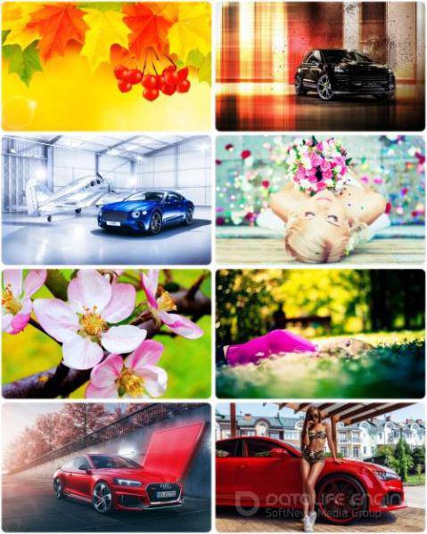 Wallpapers Mixed Pack 50